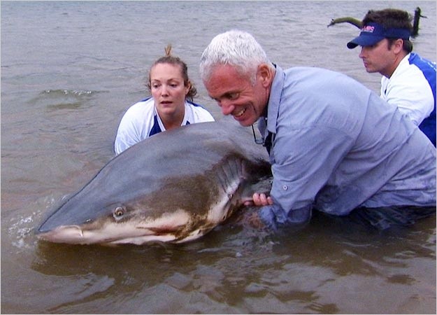 Photo:  Jeremy catching a bull shark in the southern Africa's Zambezi River